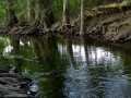 Cibolo Nature Center CNC1