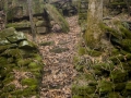 Abandoned mill AVA MO