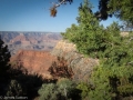 Grand Canyon GC10
