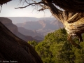 Grand Canyon CG3