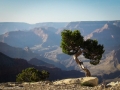 Grand Canyon GC1