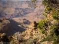 Grand Canyon GC11