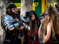 Sherwood Forest Faire 2015