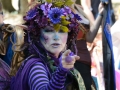 Sherwood Forest Faire 2015