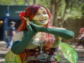 Sherwood Forest Faire 2015