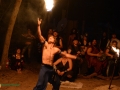 Sherwood Forest Faire 2015